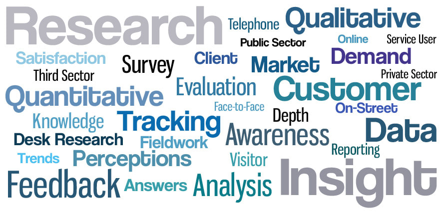 Strategic Research and Insight Ltd logo